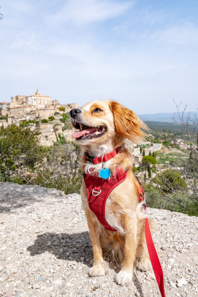 ranger storm smiling in front of gordes france