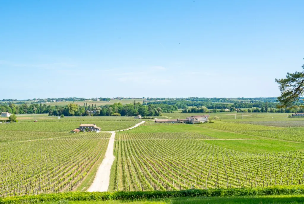 view of vineyards in saint emilion france