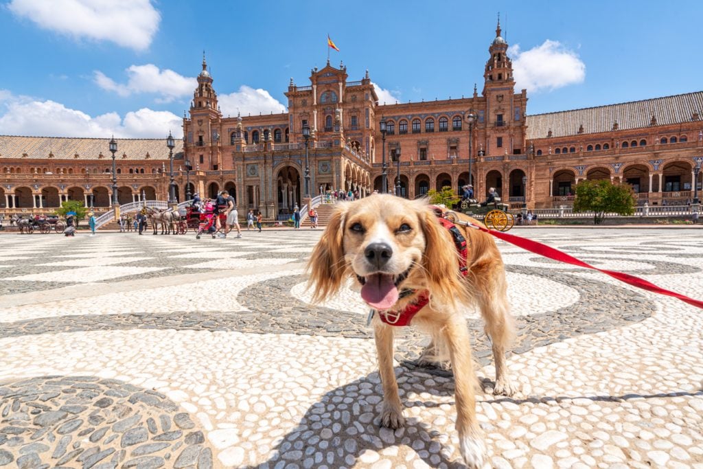 ranger storm in the plaza de espana smiling at the camera