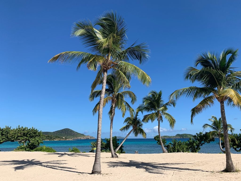 palm trees with caribbean in the distance on sapphire beach usvi st thomas