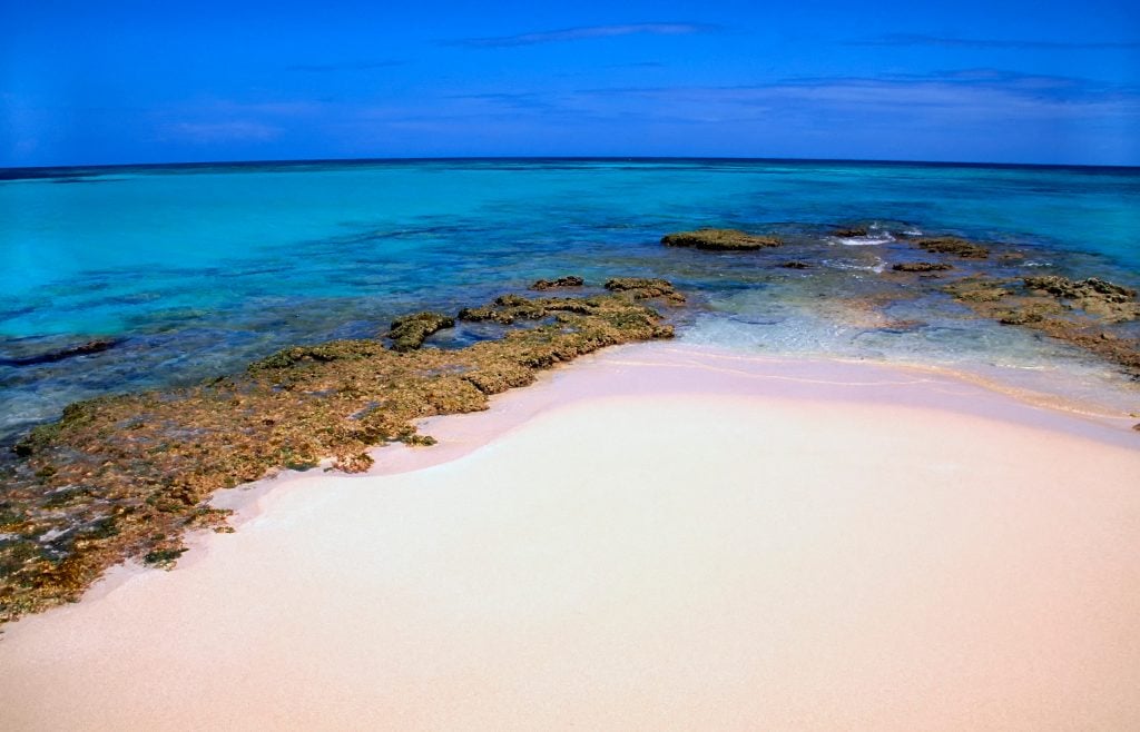pristine white sand on buck island beach usvi