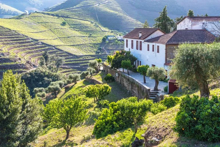 terraces of the douro valley portugal with a white building to the right, a beautiful view during a portugal road trip itinerary