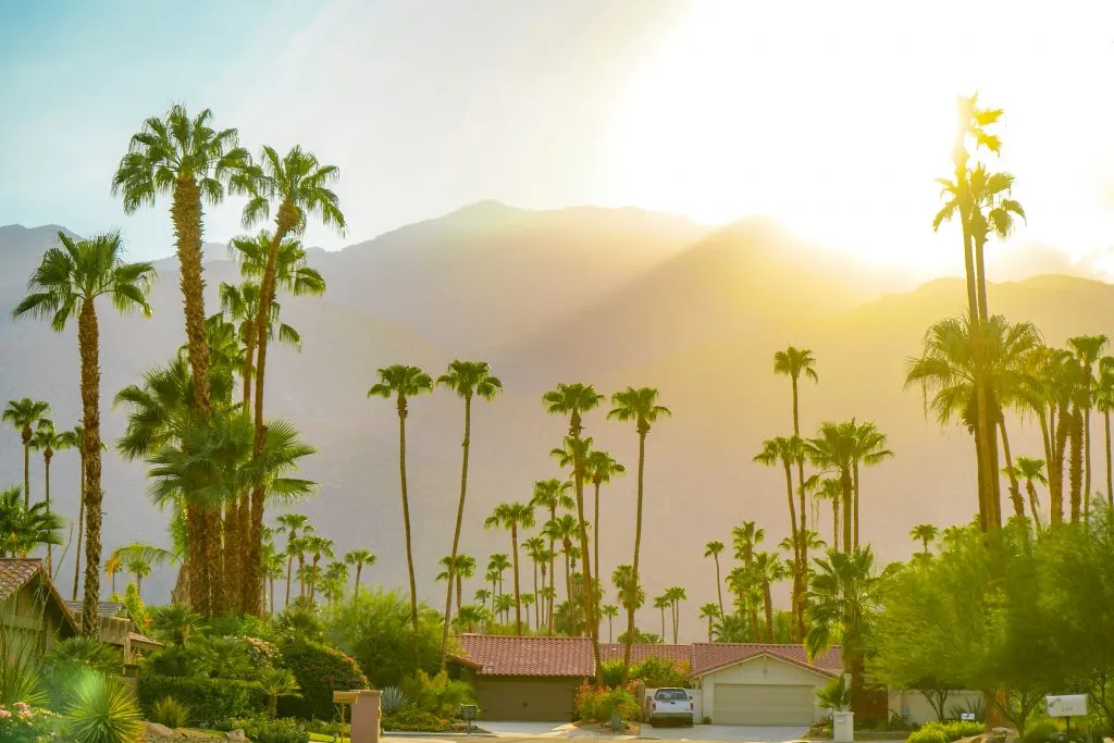 mid century home surrounded by palm trees under a sunset in palm springs california travel