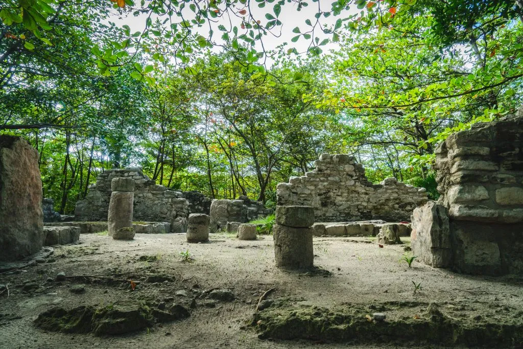 remains of columns under shade of the jungle in san miguelito mayan ruins in mexico