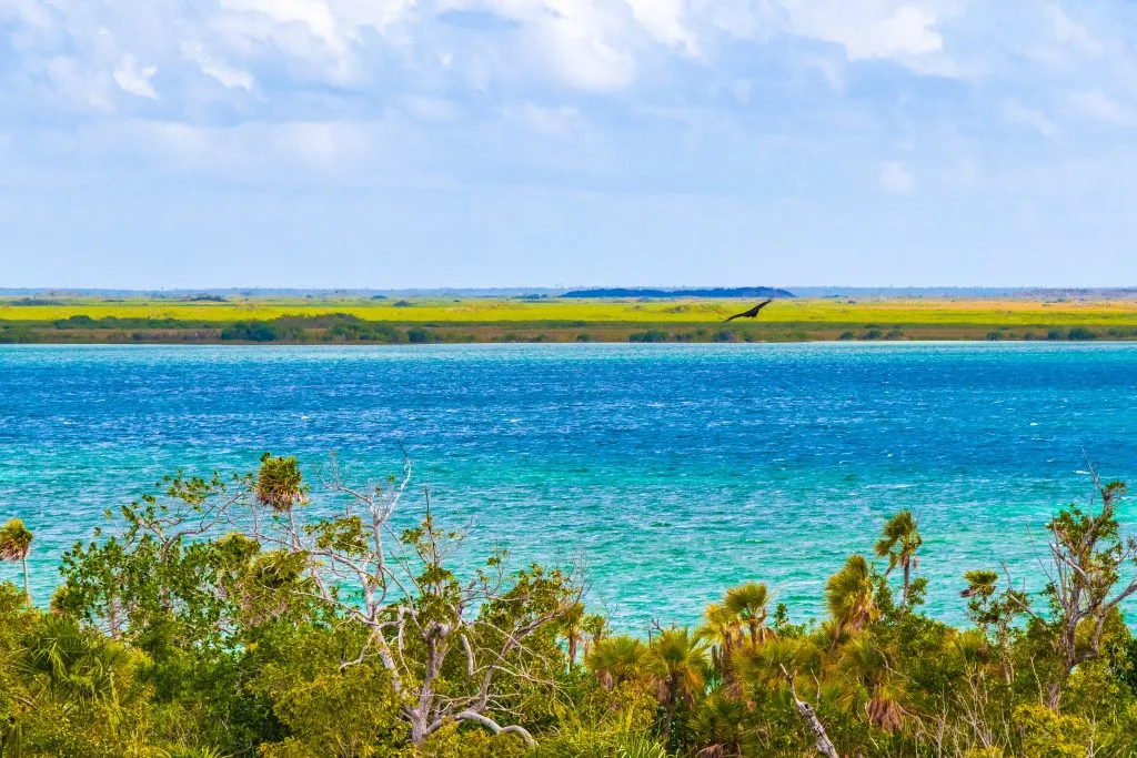 view of turquoise water of sian ka'an reserve near muyil ruins mexico