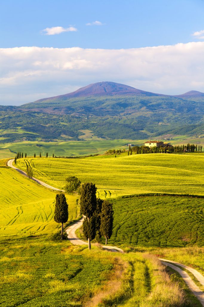 gladiator road in tuscany on a sunny day