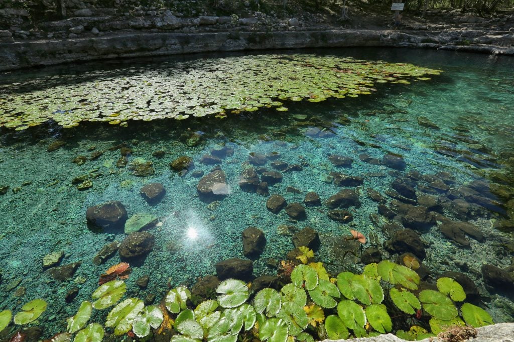 cenote xlakah near merida mexico