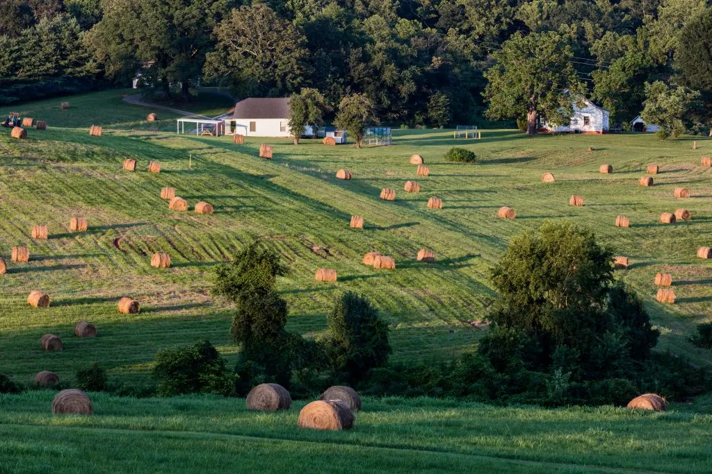 hay bales in a field at a farm near sunset in north carolina mountain town