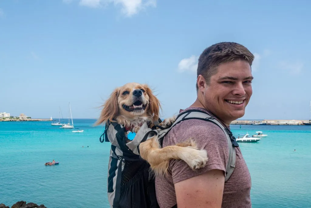 jeremy storm and ranger storm standing in front of the sea in otranto italy, ranger in a backpack