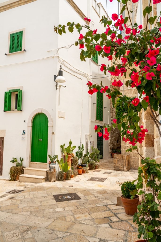 whitewashed building with green doors and red flowers in the foreground in polignano a mare puglia towns to visit