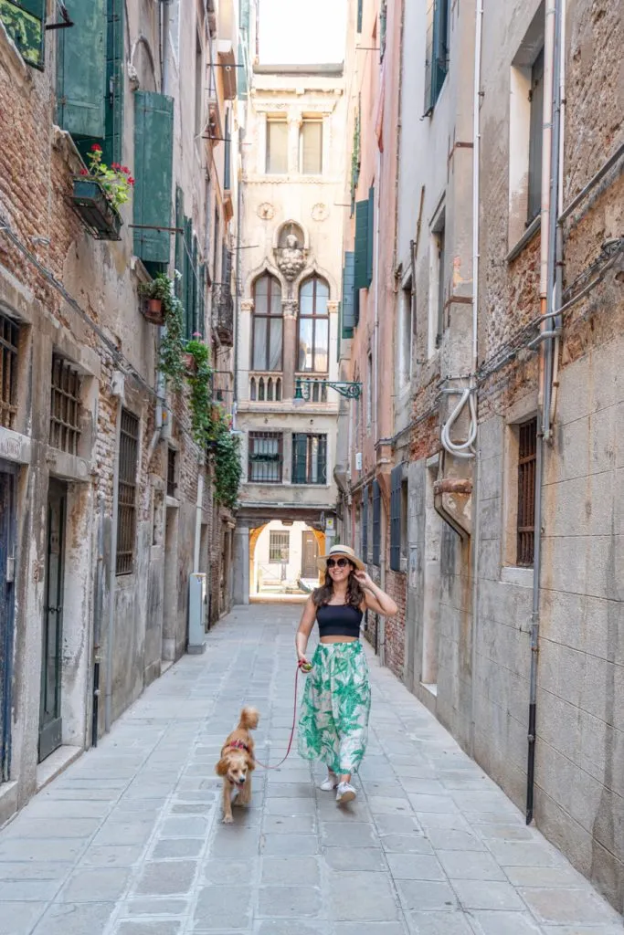 kate storm and ranger storm on a quiet street in venice july