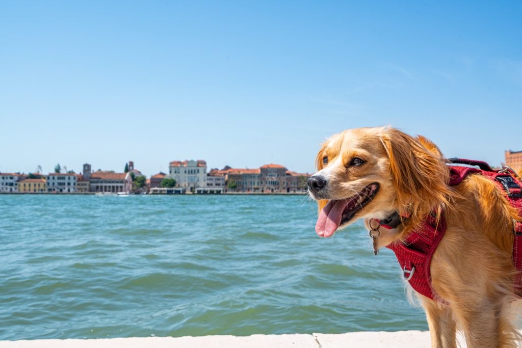 ranger storm in venice summer with lagoon and giudecca in background