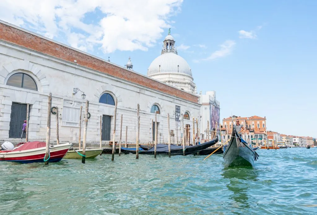 view of dorsoduro from the grand canal