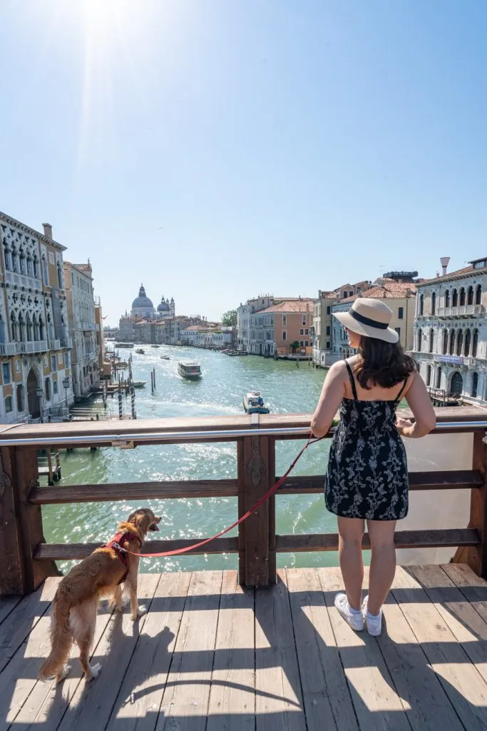 kate storm and ranger storm standing on ponte d accademia during summer in venice italy