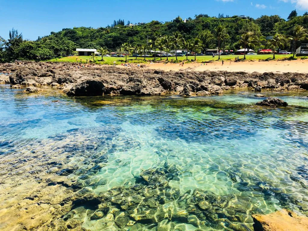 sharks cove on the north shore of a oahu hawaii as seen looking at the shore