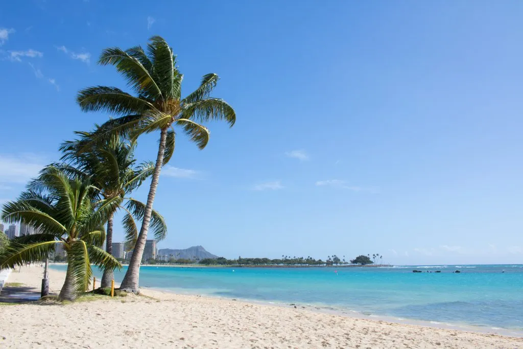 empty sand at beach park, one of the best places in oahu hawaii with palm trees to the left