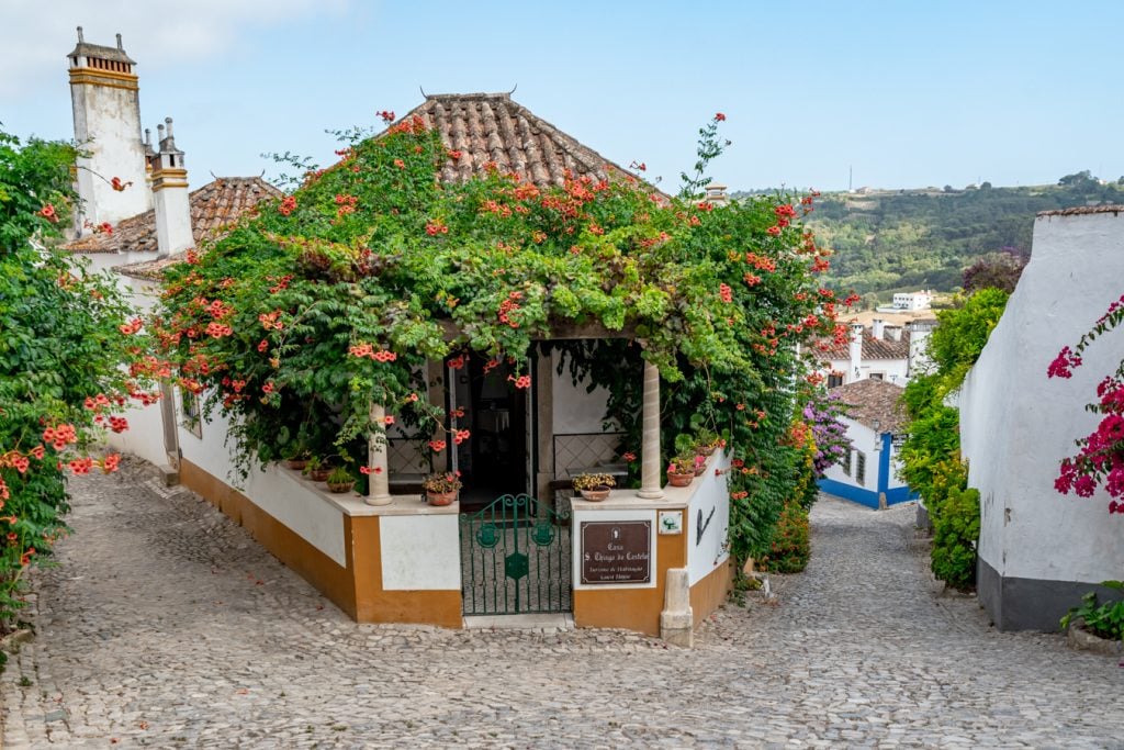 whitewashed building in obidos portugal with orange flowers blooming on it
