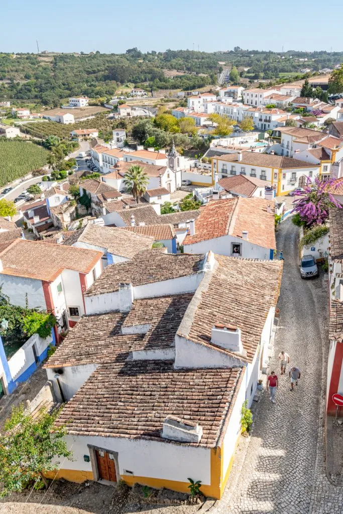 maze of streets in obidos as seen from castle walls