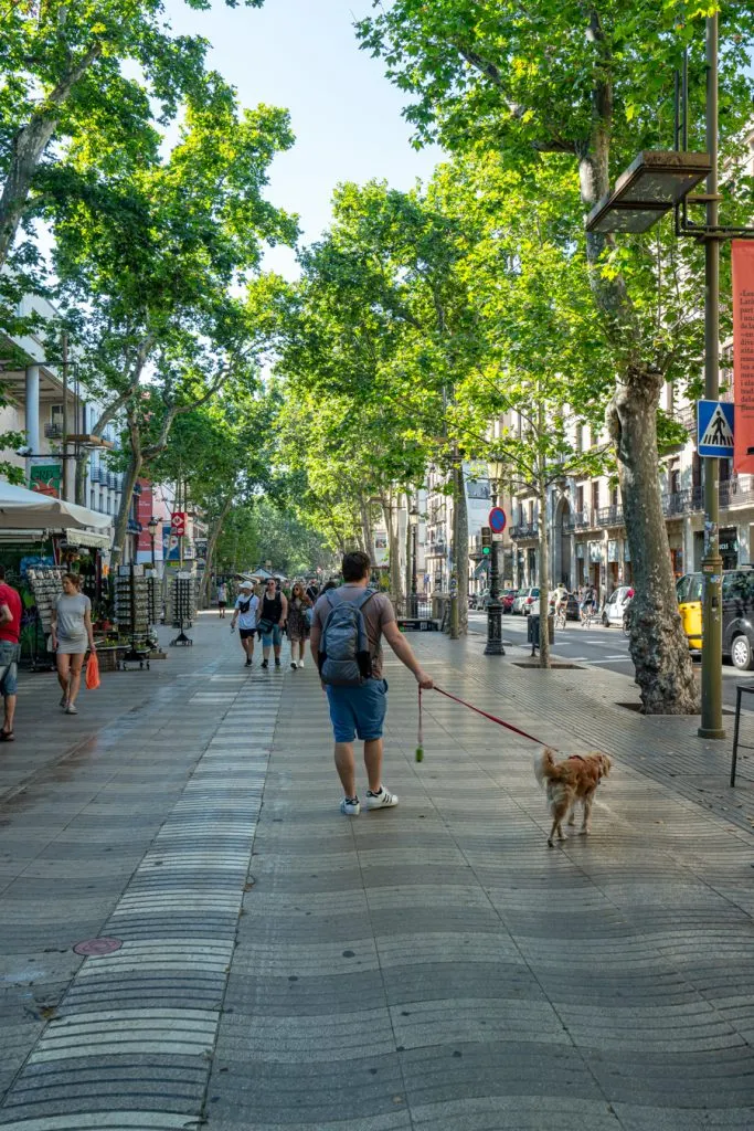 jeremy storm and ranger storm walking down las ramblas in barcelona spain