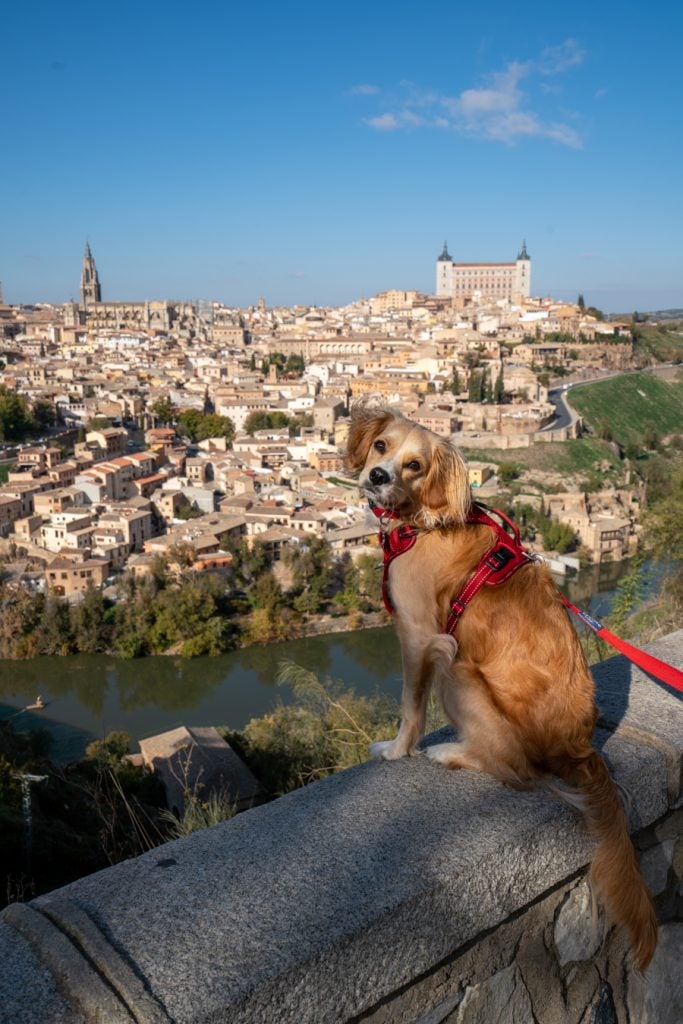 ranger storm overlooking toledo spain on his first vacation in europe