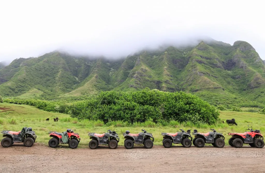 atvs in a row with a cloudy mountain behind them