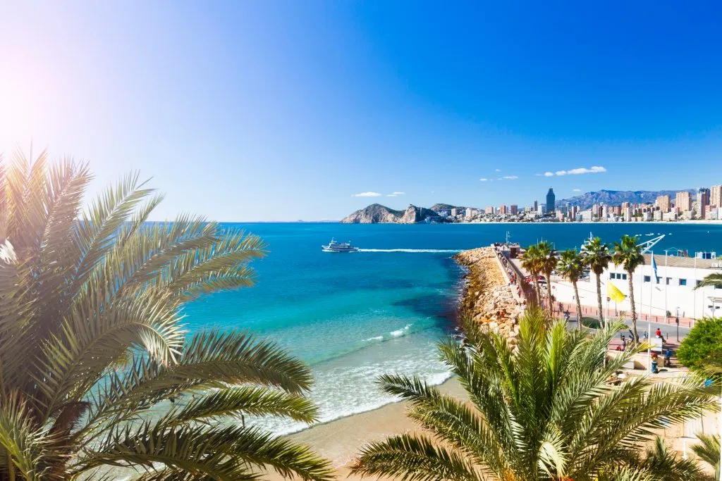 beach of benidorm spain from above with palm trees in the foreground