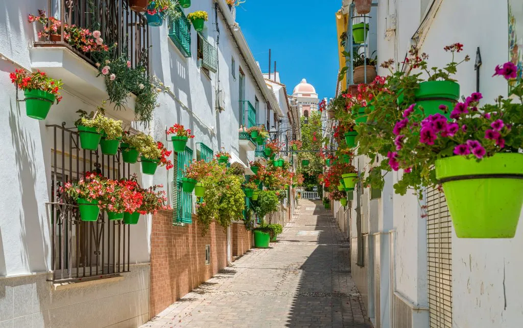 whitewashed street lined with colorful flower pots in estepona, costa del sol, one of the best beach towns in spain