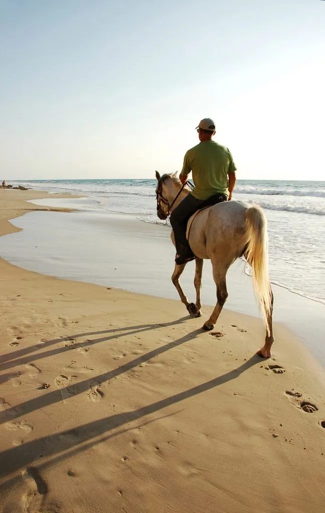 man riding a white horse on a sandy beach at golden hour