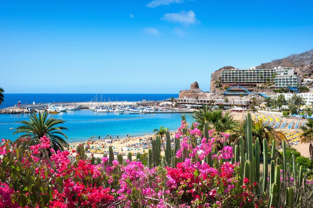 beach in puerto rico de gran canaria with flowers in the foreground, one of the most beautiful beach towns spain