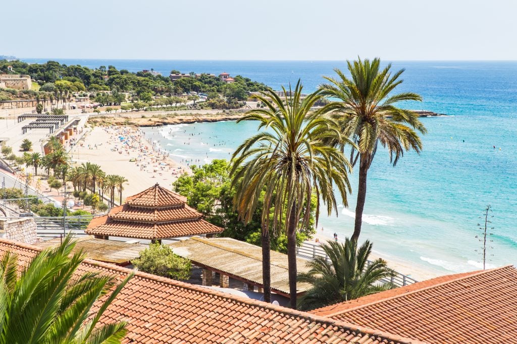 view of a beach in tarragona from above with palm trees in the foreground