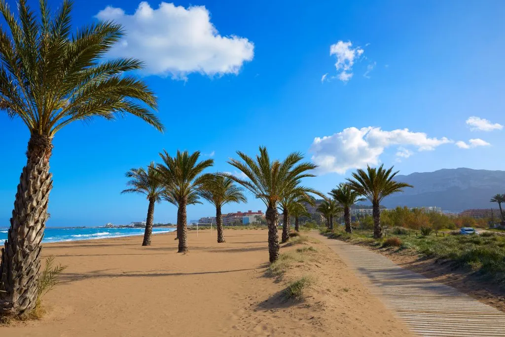 sandy beach with palm trees in denia, one of the best coastal towns in spain to visit