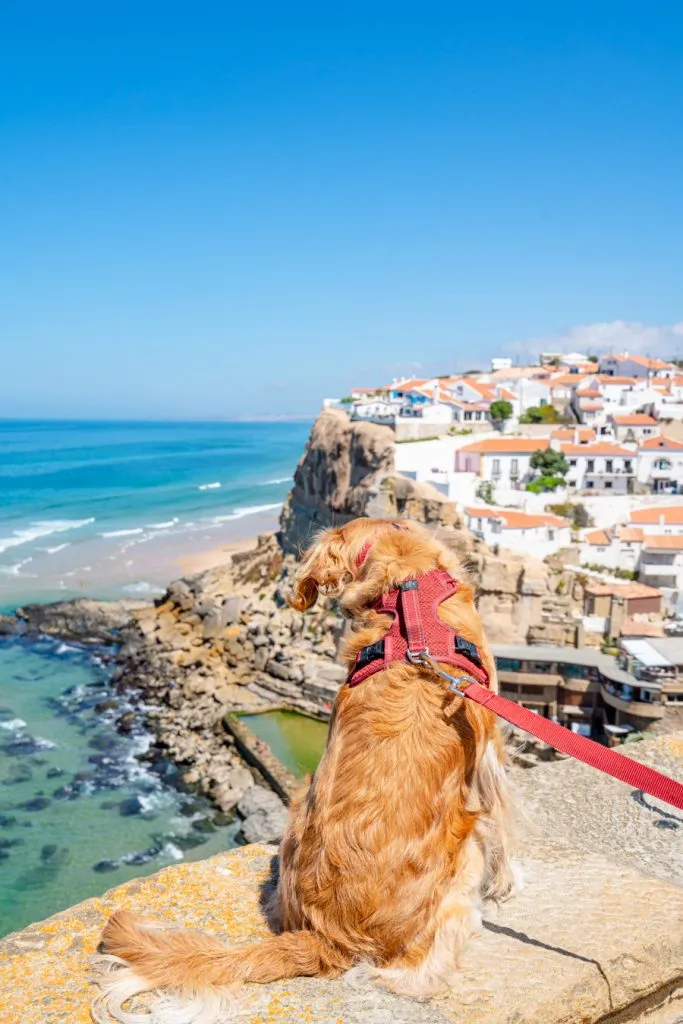ranger storm perched on a wall overlooking azenhas do mar, one of the best beach towns near lisbon day trips