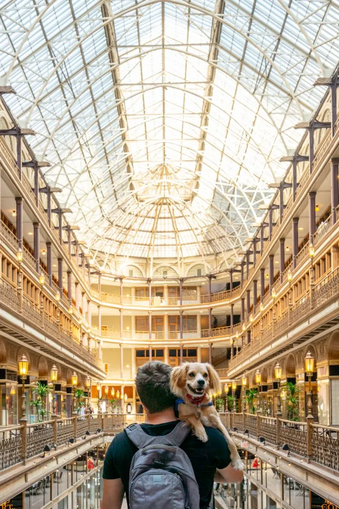 jeremy storm and ranger storm in cleveland ohio galleria