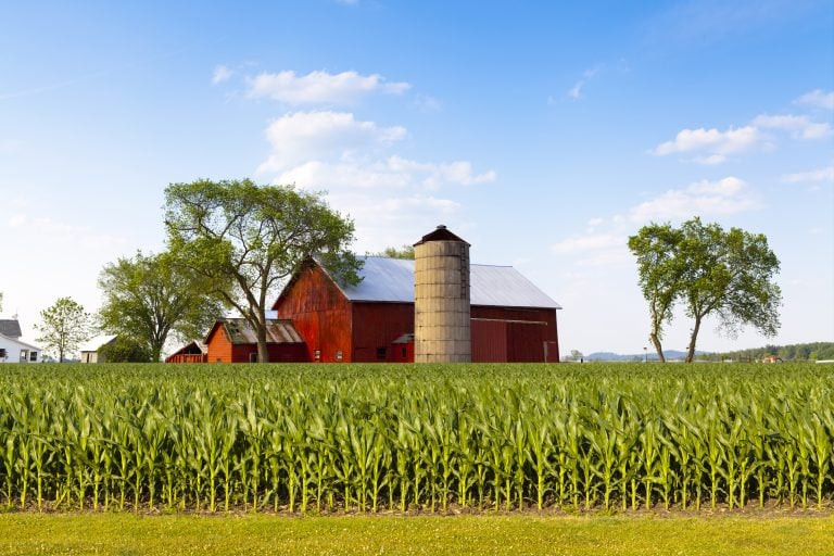 red barn and corn field on the side of the road, a typical midwest road trip itinerary view