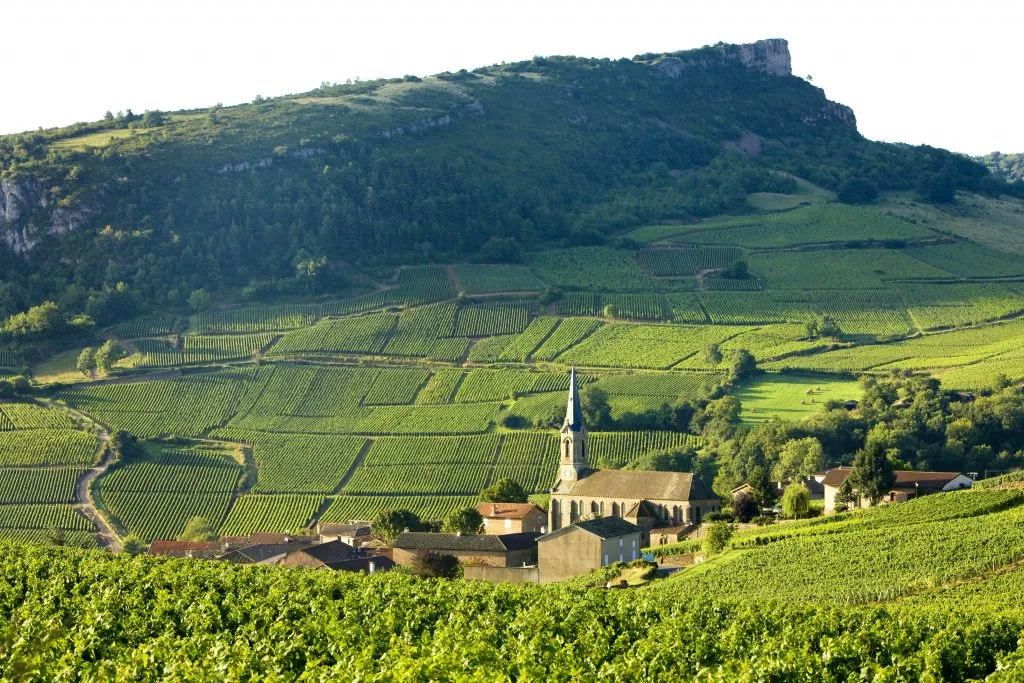 vergisson village in burgundy france with vineyards in the foreground