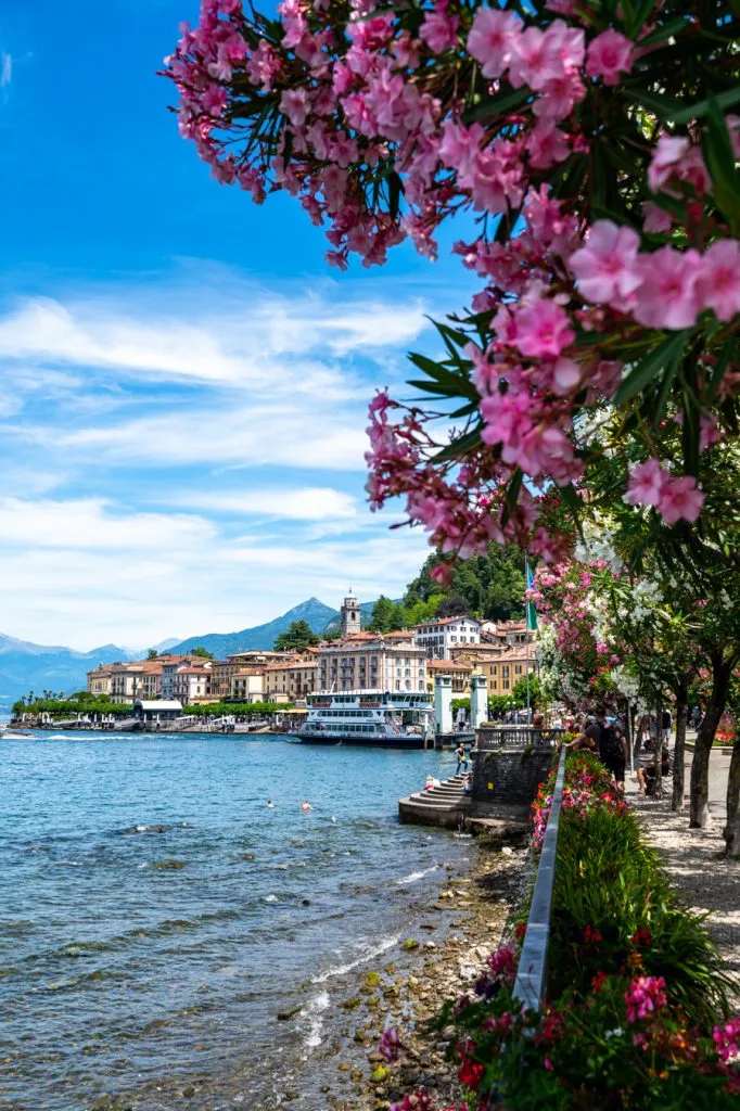 town of bellagio italy with lake como to the left and purple flowers in the foreground, a fantastic italy summer vacation destination
