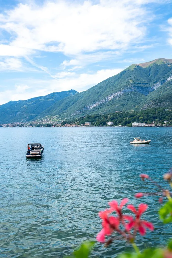 small boats exploring lake como with pink flowers in the foreground