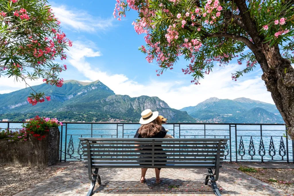 kate storm and ranger storm sitting on a bench overlooking lake como surrounded by flowering trees