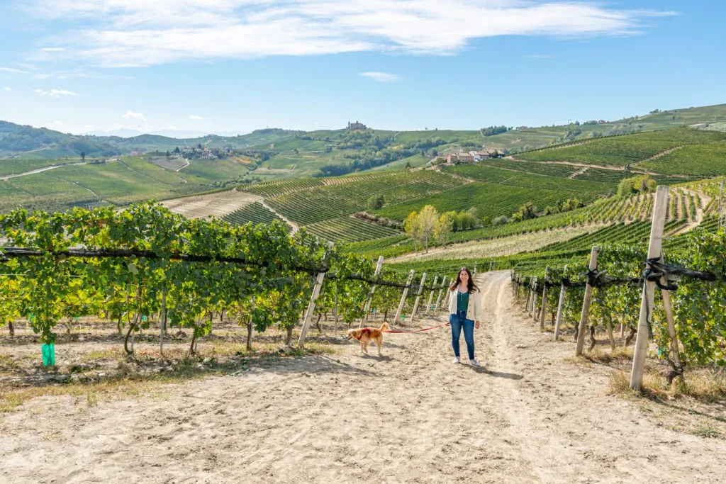 kate storm and ranger storm in the vineyards of langhe piedmont