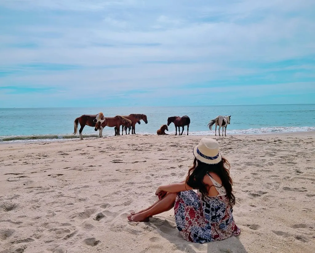 brunette woman sitting on a beach in virginia with wild horses in the distance
