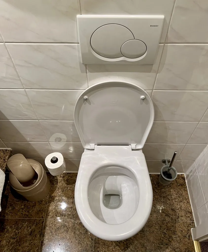 a european toilet with a toilet brush to the right