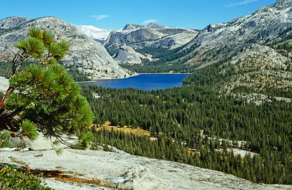 tenaya lake in yosemite national park as seen from above, one of the best national parks for summer vacation in america