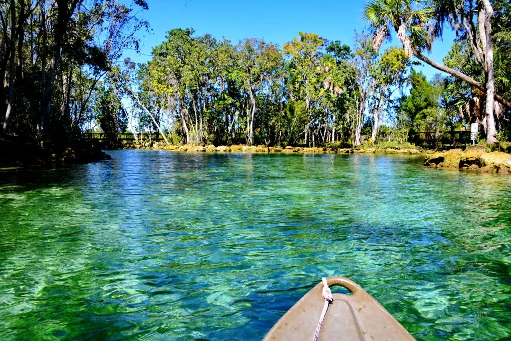 clear waters of three sisters springs in florida with sup board, one of the best places to visit in summer in the united states