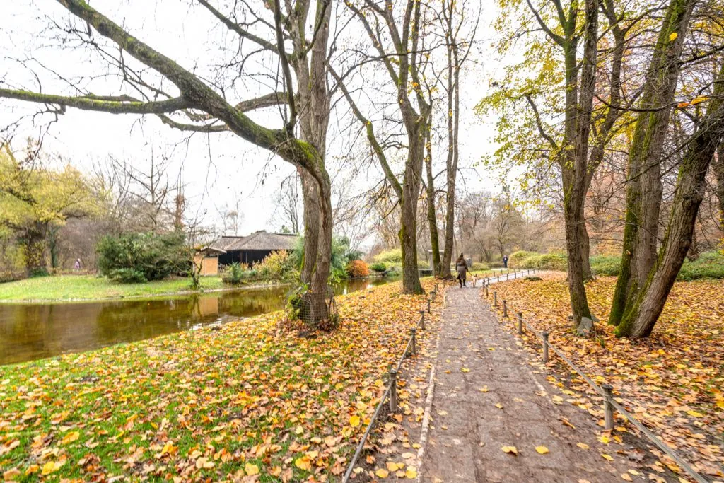 path covered in falling leaves in munich englischer garden