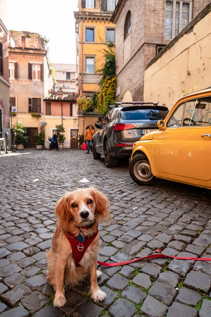 ranger storm sitting next to a yellow car on a small street, one of the best places to visit in trastevere
