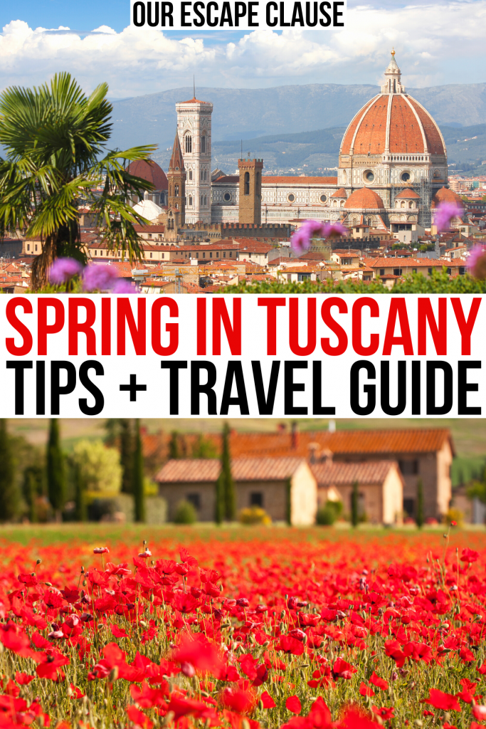 2 photos of blooming flowers in tuscany, red and black text reads "spring in tuscany tips and travel guide"