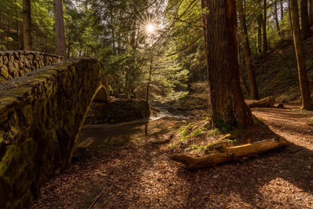 sun filtering through the forest with a stone bridge of hocking hills ohio