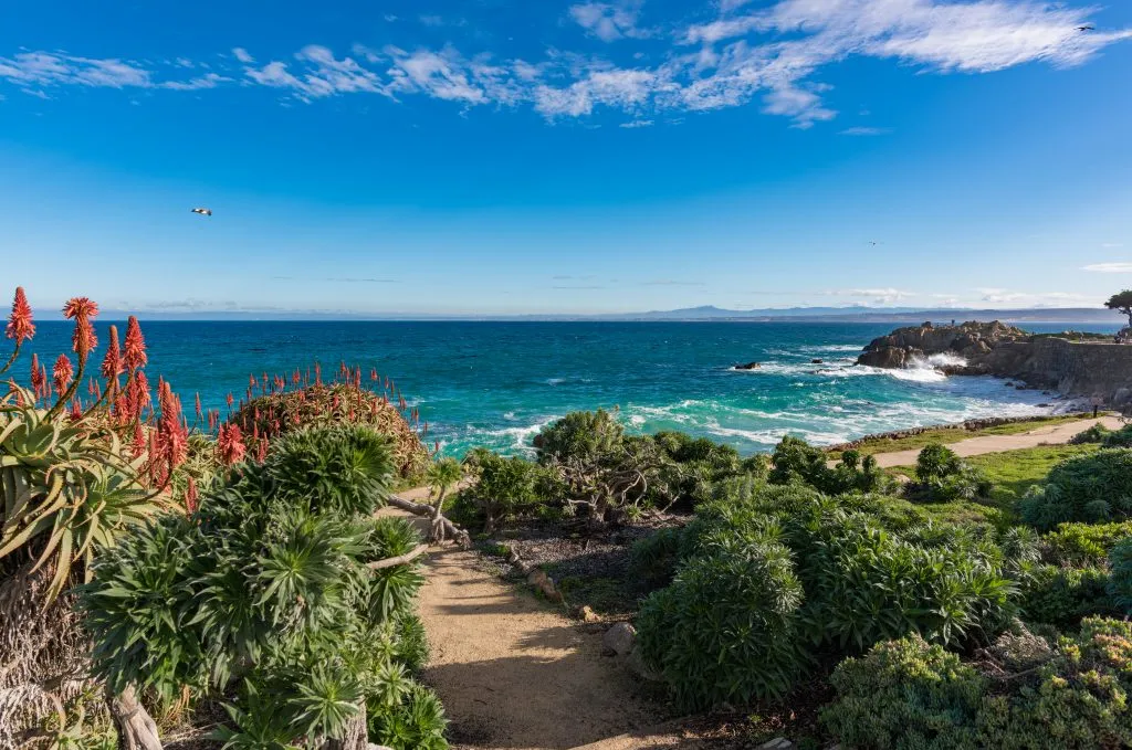 path leading to the pacific ocean in monterey california