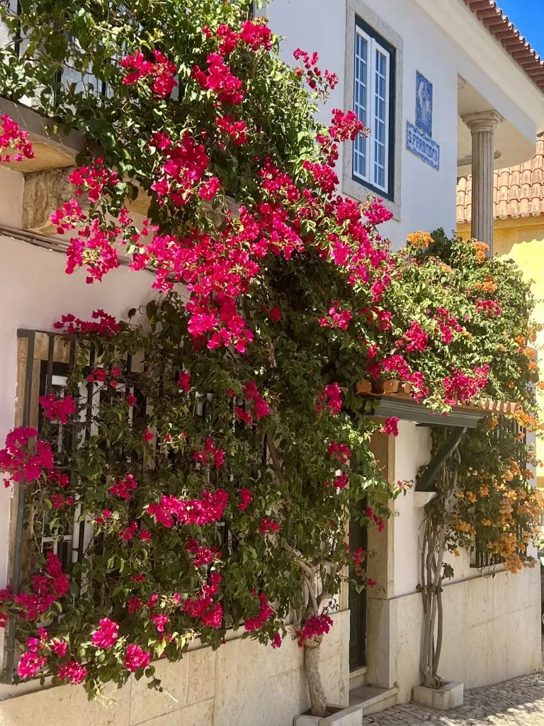 white house in cascais portugal covered in pink flowers, a beautiful view during one day in cascais portugal