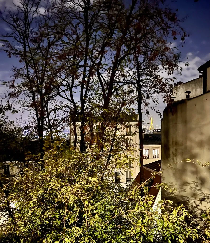 photo taken from montmartre at night with eiffel tower lit up in the distance